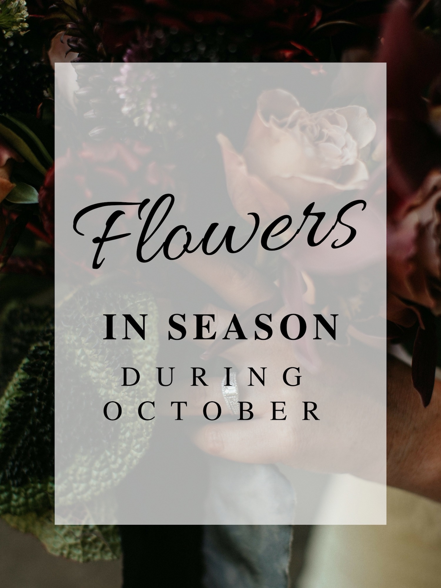 Flowers in Season During October