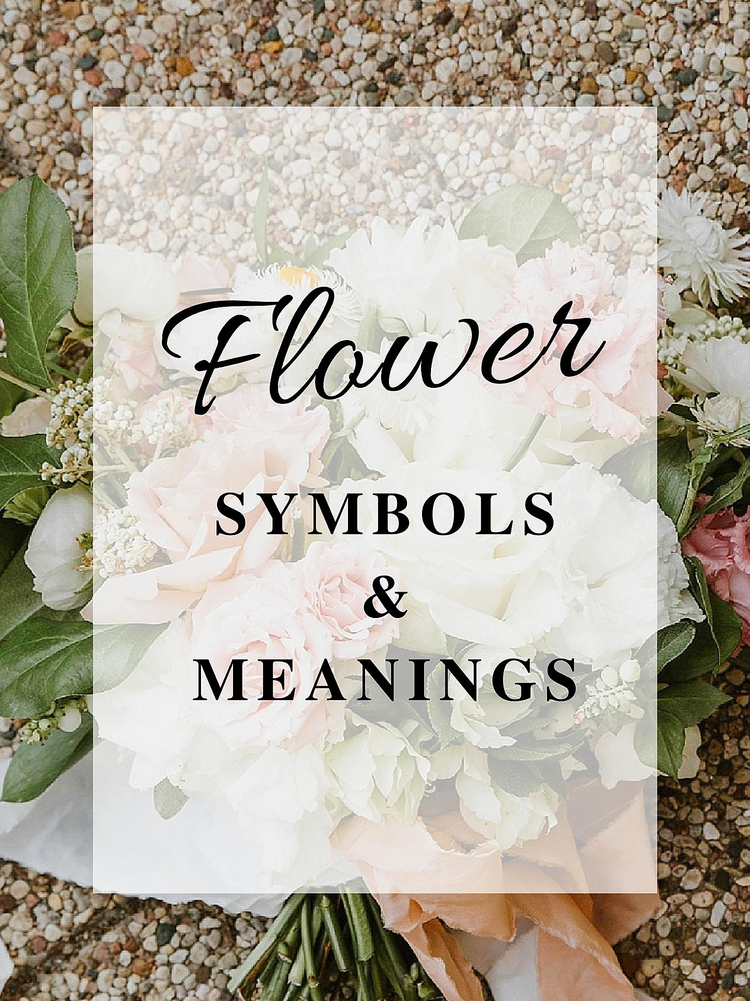 Flower Symbols and Meanings - Ohio Florist