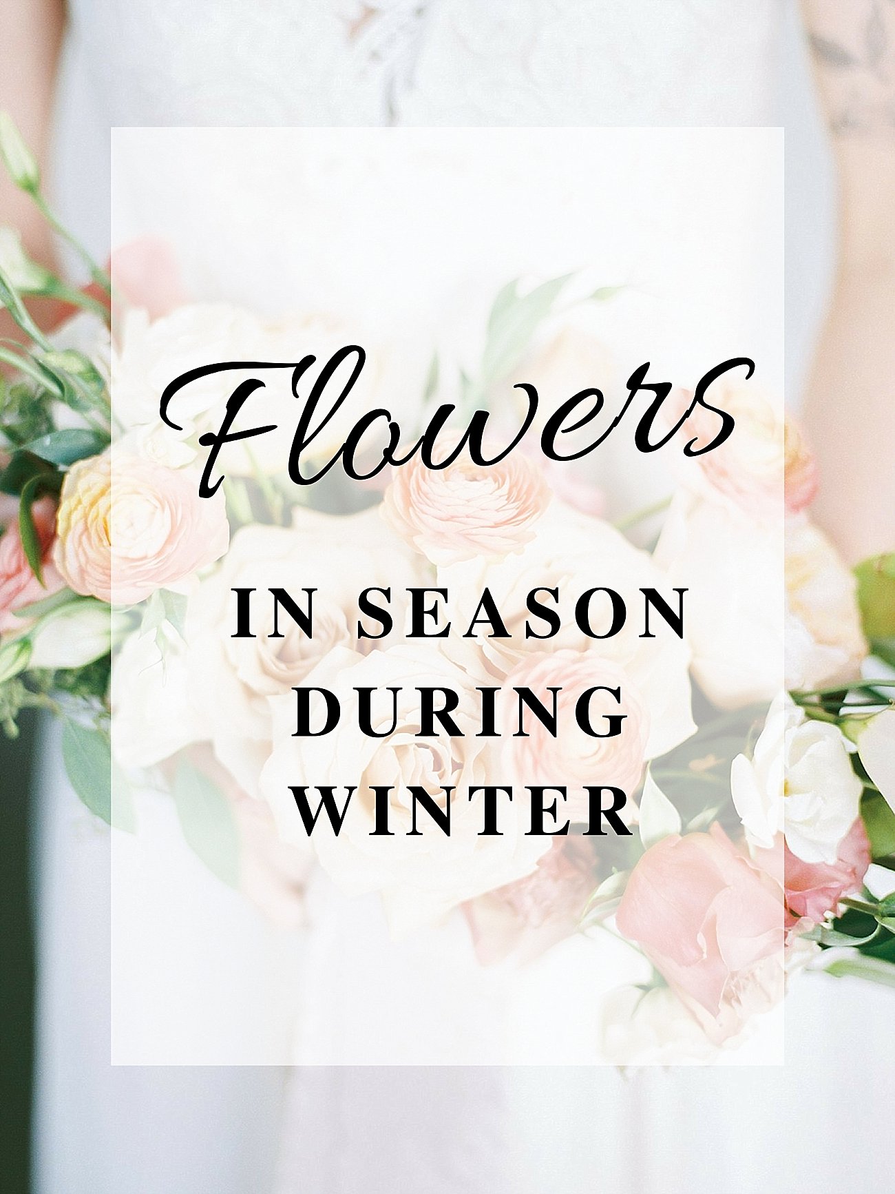 Flowers in Season During Winter | Ohio Florist