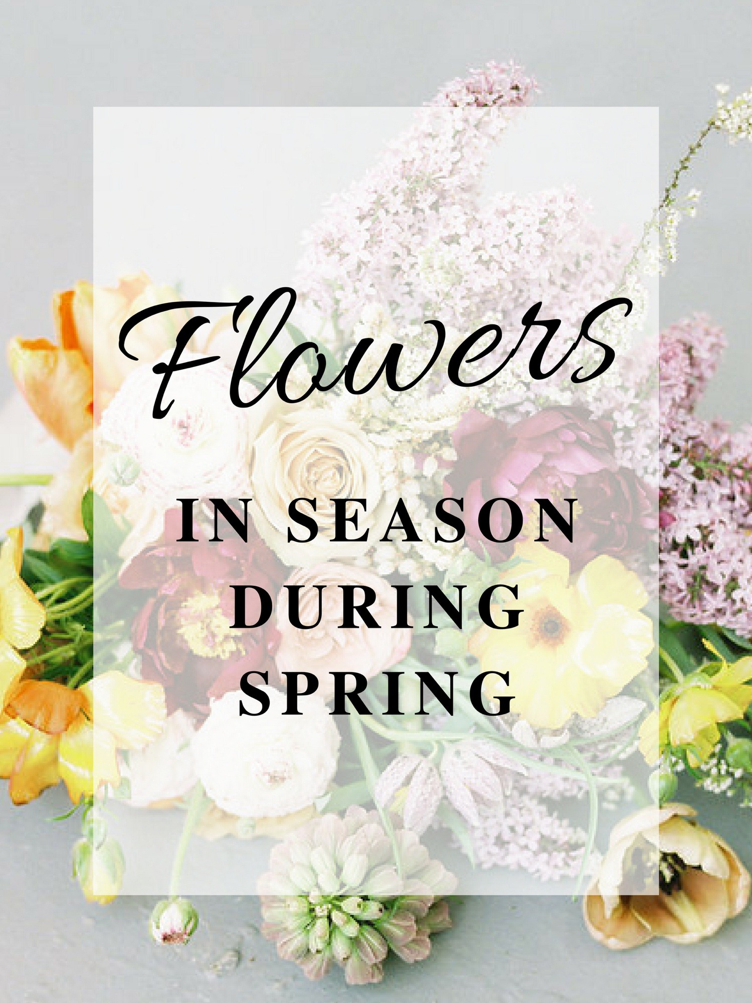 Flowers in Season During Spring | Flower Ideas for a Spring Wedding